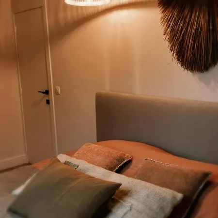 公寓 Dune Du Clemot