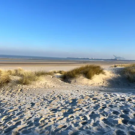 Dune Du Clemot Appartement Blankenberge