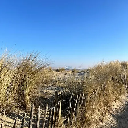 Dune Du Clemot * Blankenberge