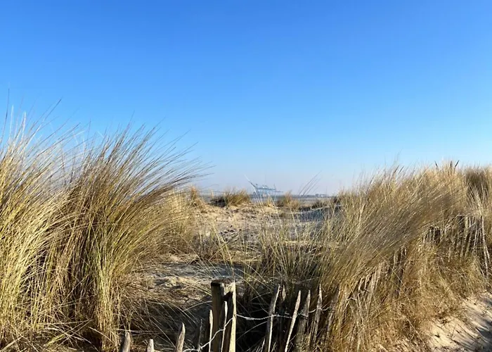 Dune Du Clemot * Blankenberge