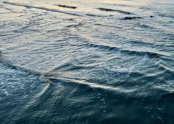 Apartament Dune Du Clemot